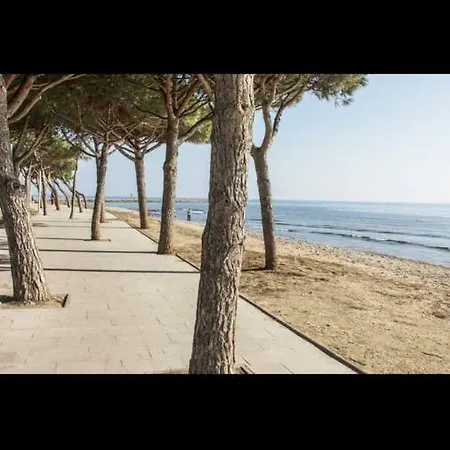 Dms4 Cambrils